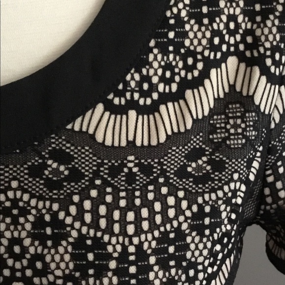 Lace peplum top - Picture 3 of 4